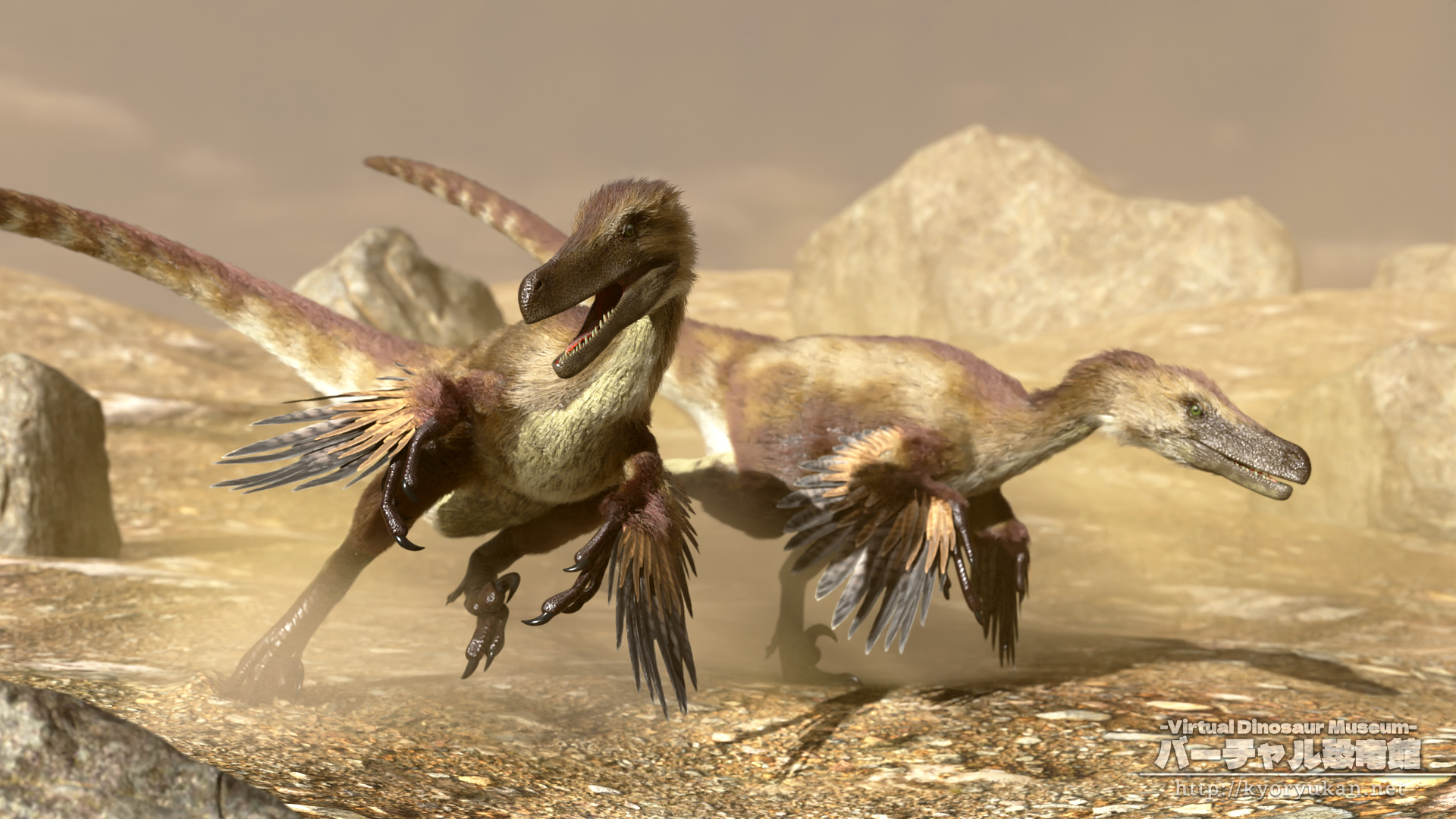 ヴェロキラプトル
