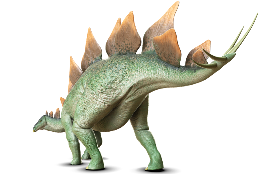 ステゴサウルス