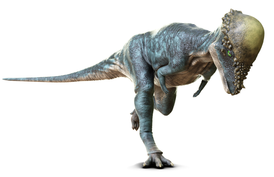 パキケファロサウルス