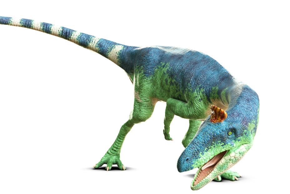 クリオロフォサウルス