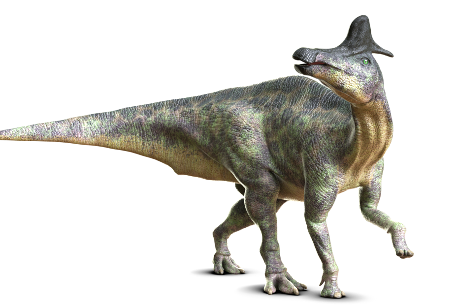 ランベオサウルス