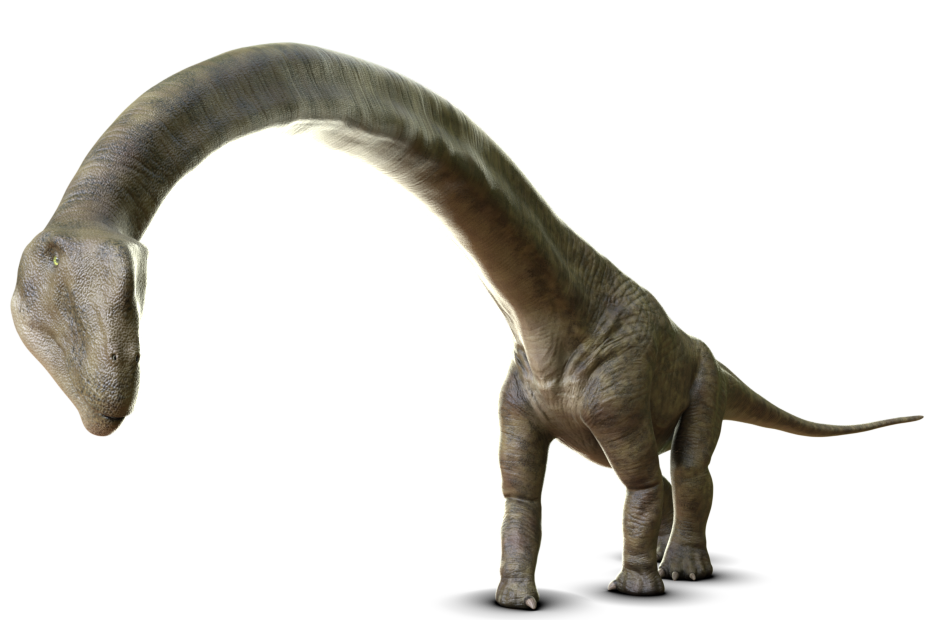 マメンチサウルス