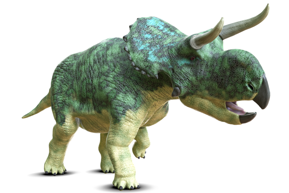 ナストケラトプス