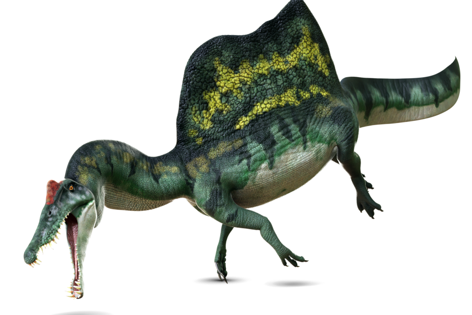 スピノサウルス