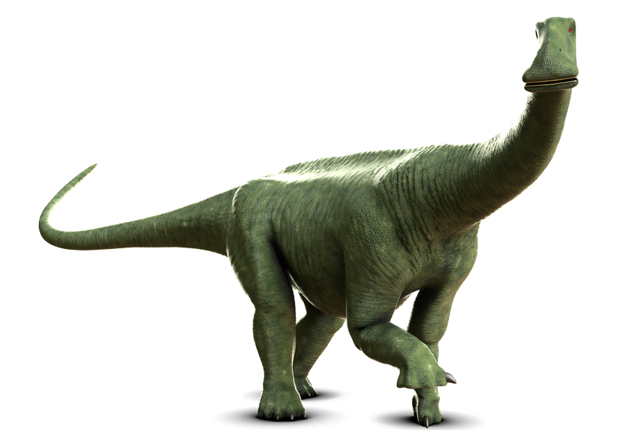 ニジェールサウルス