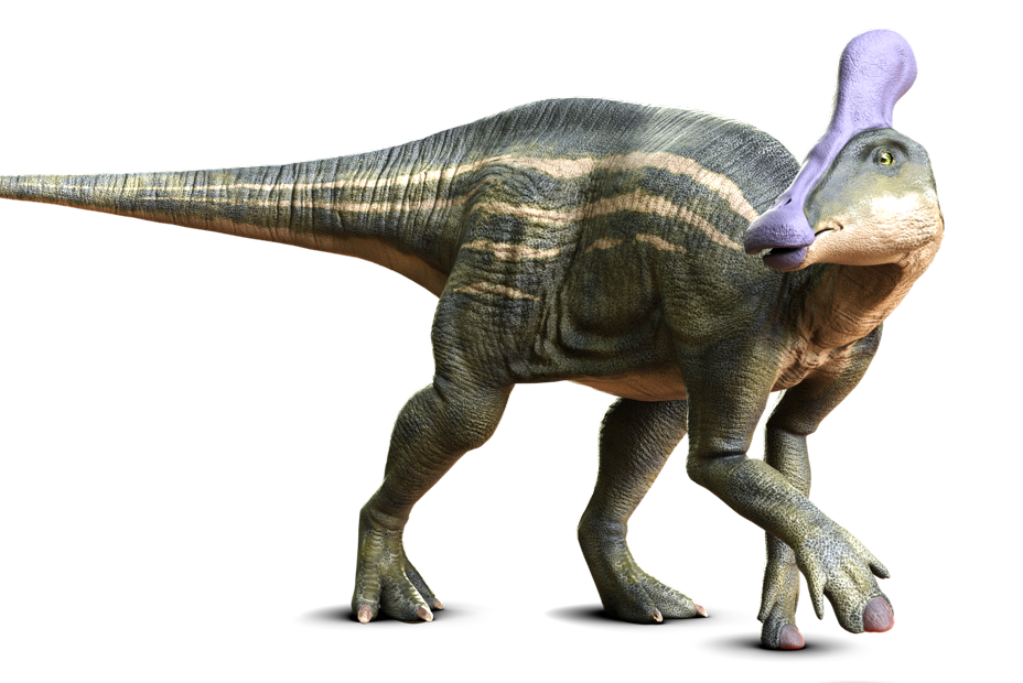 チンタオサウルス