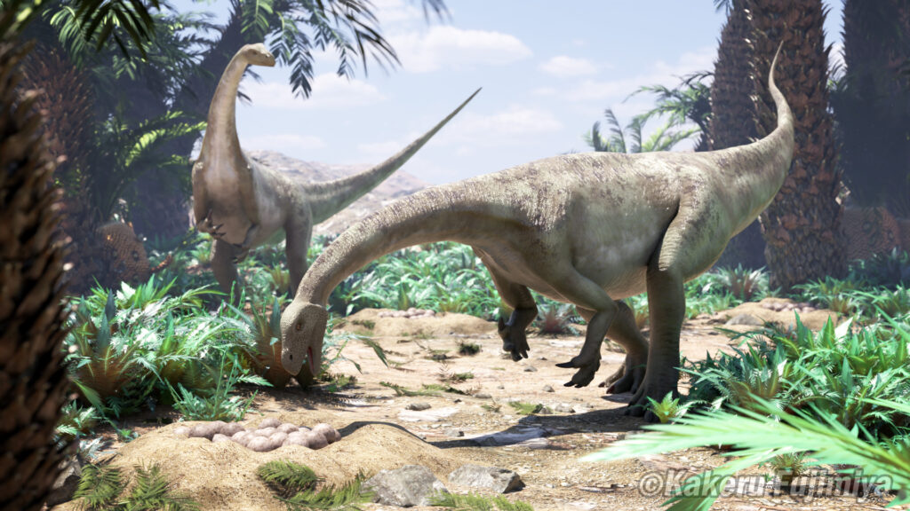 マッソスポンディルス の画像