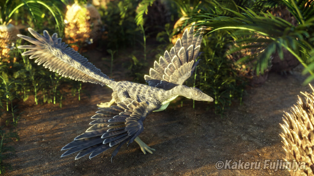 アーケオプテリクス の画像