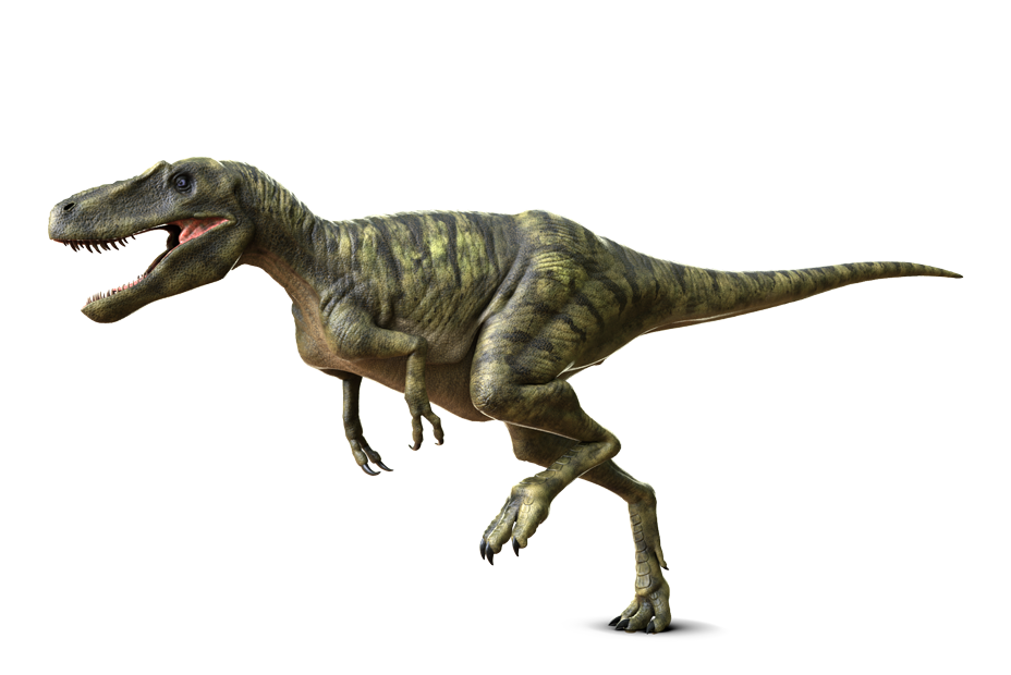 ナノティラヌス