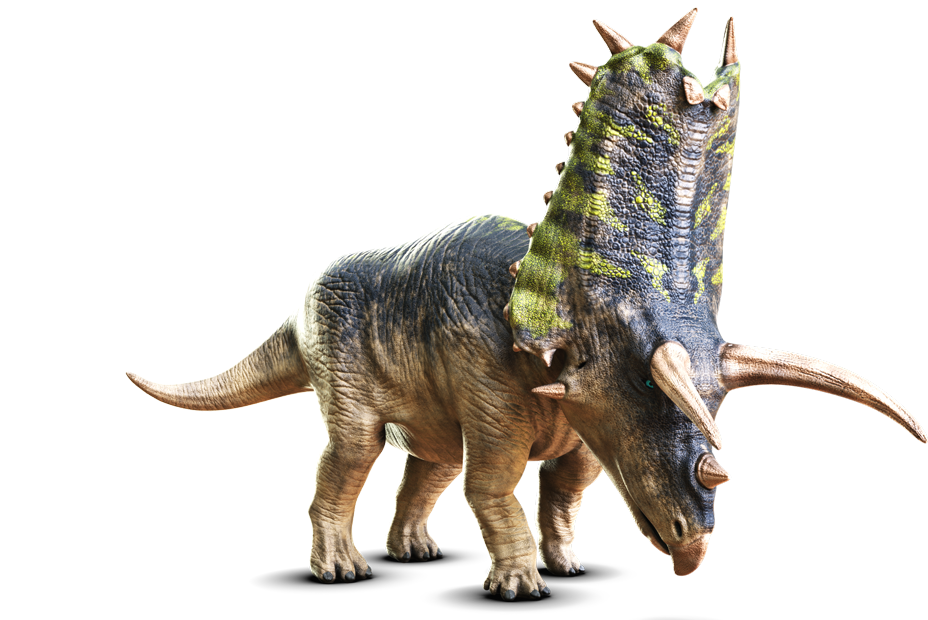 ペンタケラトプス