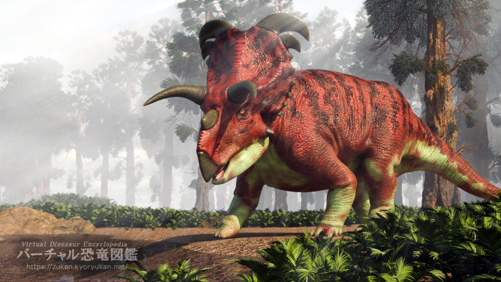 メデューサケラトプス の画像