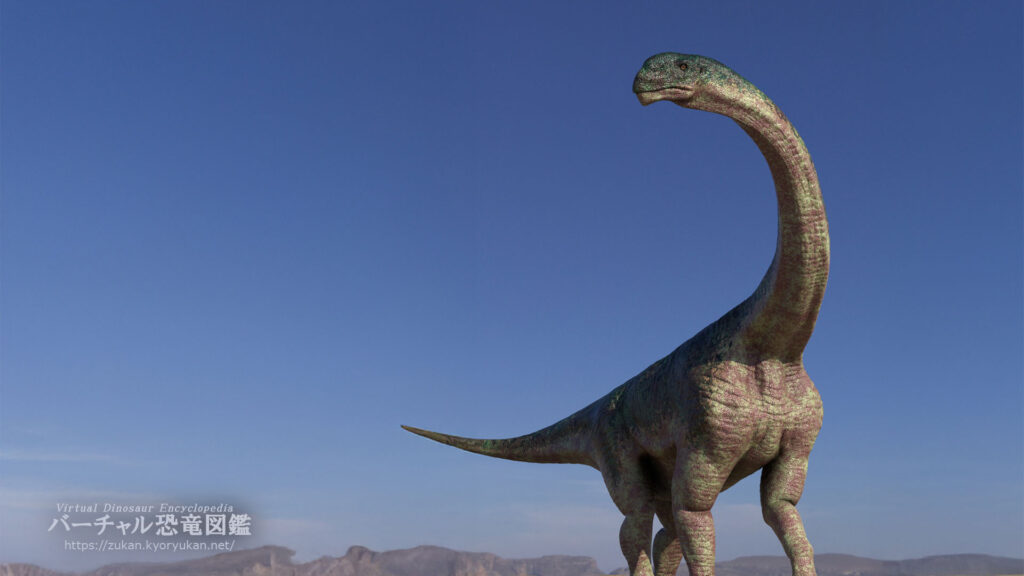 カマラサウルス の画像