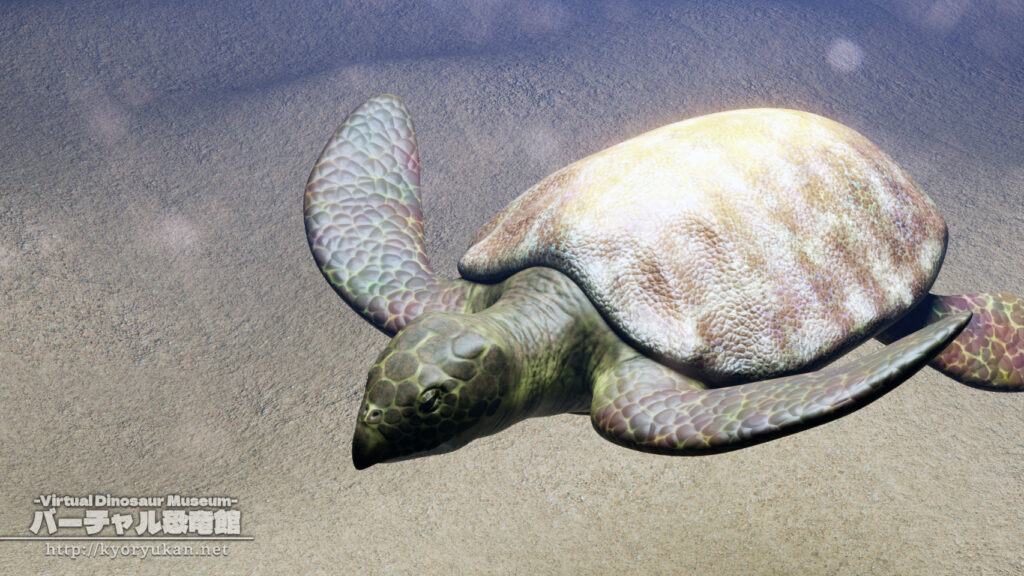 アーケロン の画像