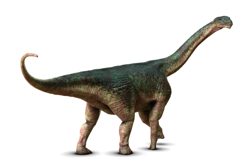 カマラサウルス