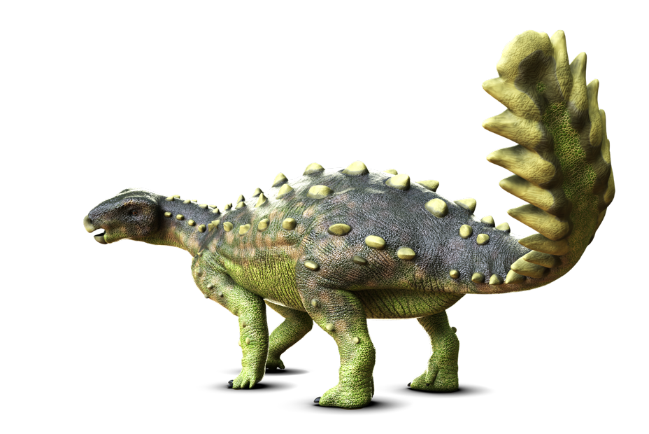 ステゴウロス