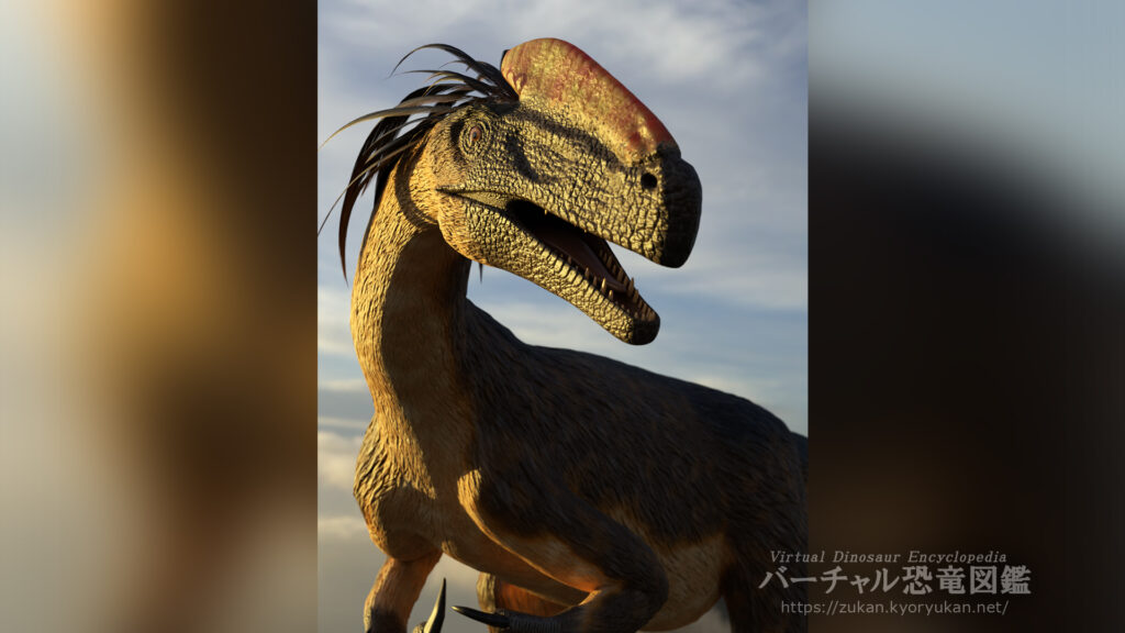 グアンロン の画像