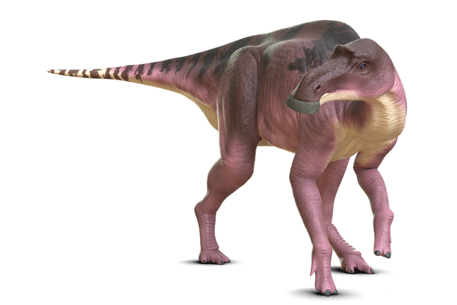 マイアサウラ